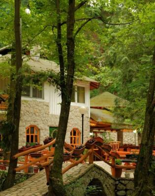 Samo dva sata od Sarajeva: Restoran skriven u šumi zbog kojeg vrijedi krenuti na izlet