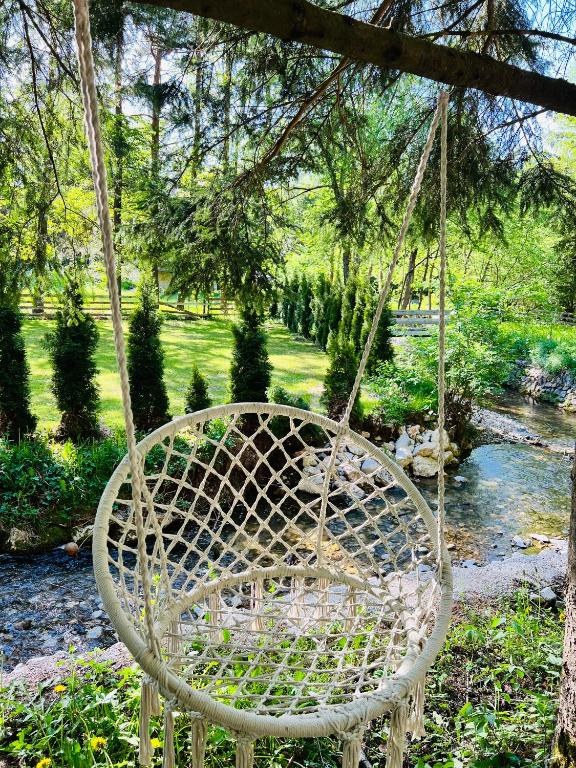 bonjour_ba08trnovo