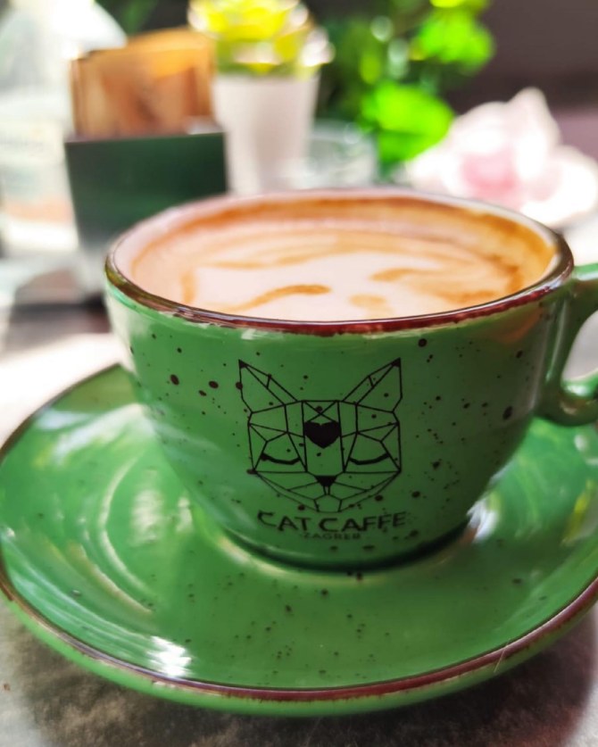 cat_caffe_zagreb1bonjour_ba