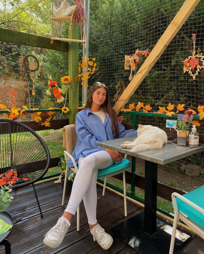 Ovaj kafić postao je omiljeno mjesto svih ljubitelja mačaka i to s razlogom!