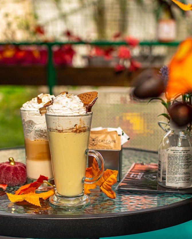 cat_caffe_zagreb9bonjour_ba