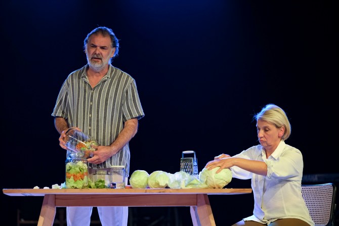 kamerni_teatar_5522bonjour_ba