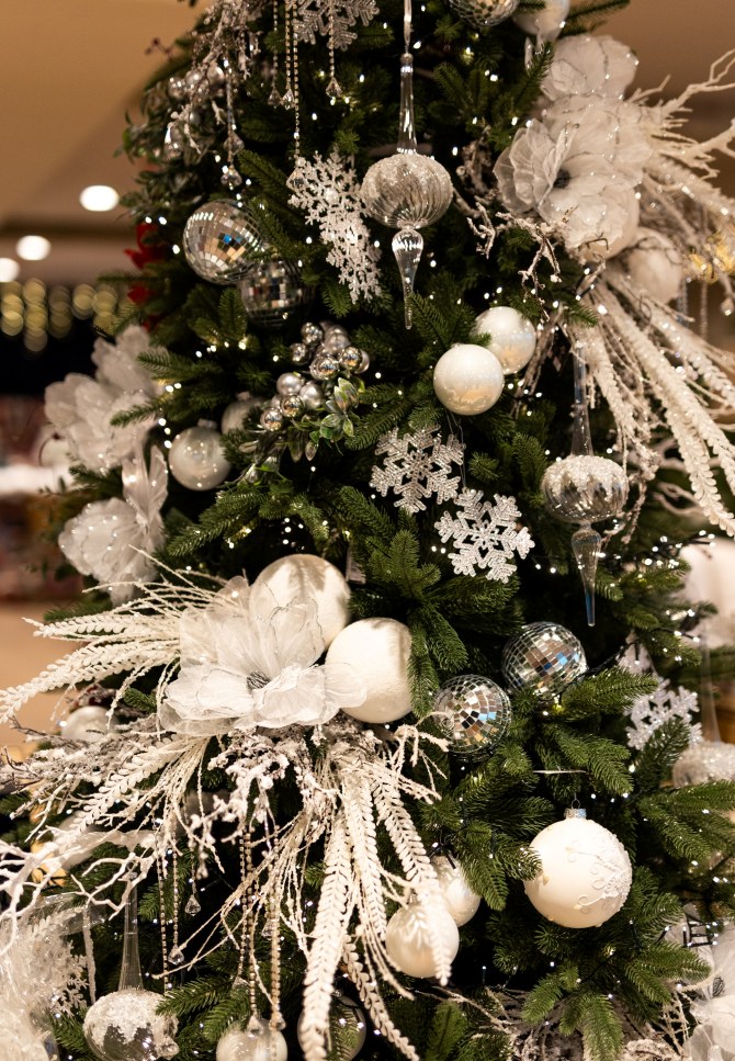 oli_living18bonjour_ba