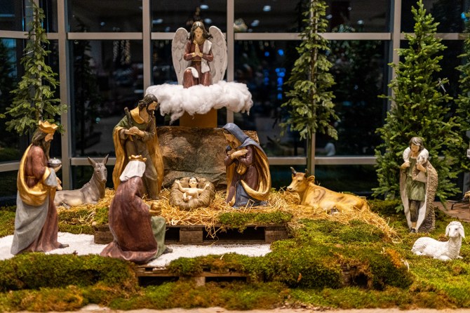 oli_living26bonjour_ba