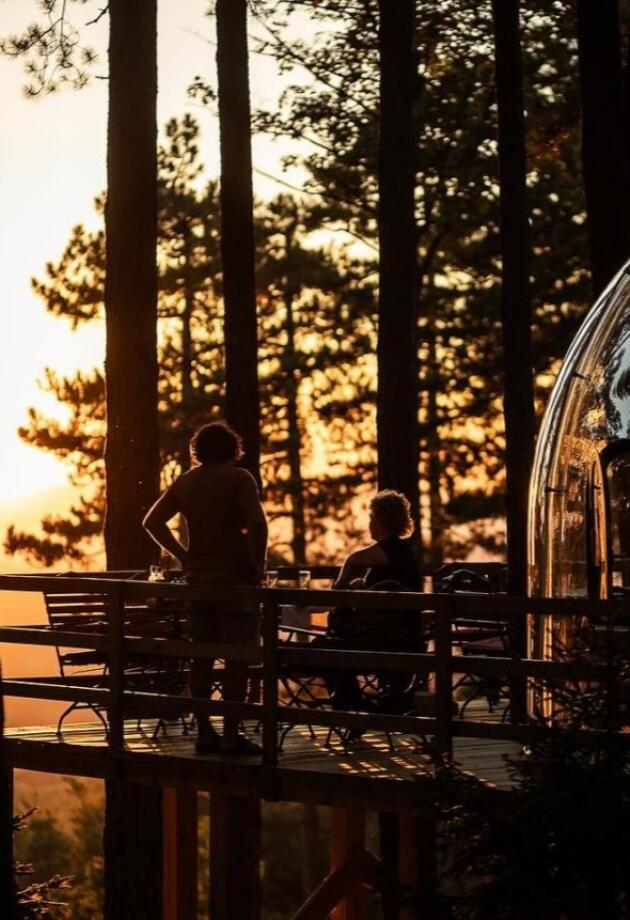 Na samo 20 minuta od Tuzle nalazi se skriveni restoran među borovima