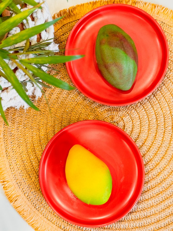 backyard_sarajevo4bonjour_ba