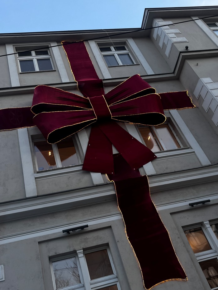 bonjour_ba_sarajevo_zima_ (6)