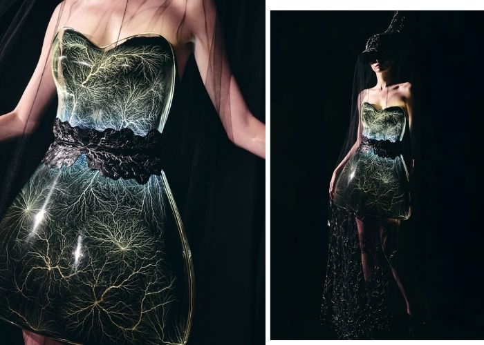 Untitled design (5)