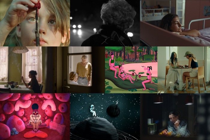 Bonjour.ba-Takmicarski programNarrative ShortFilm