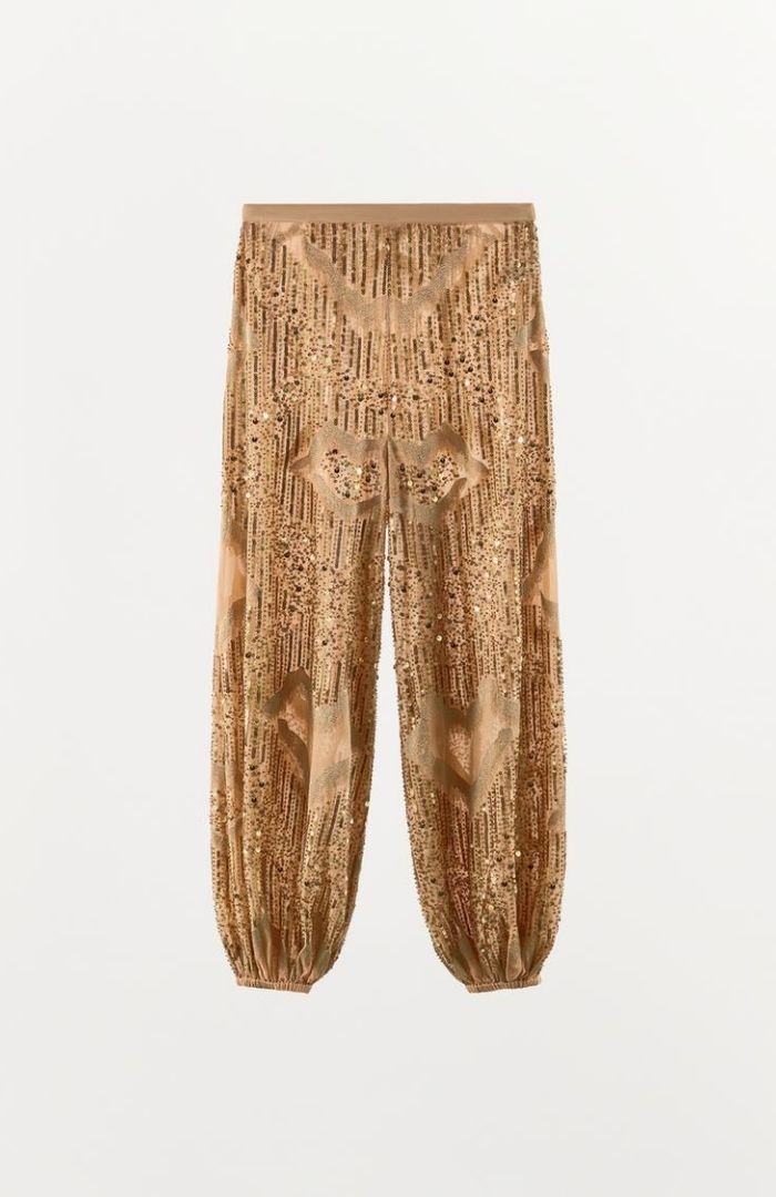Bonjour.ba-John Galliano ZARA (12)