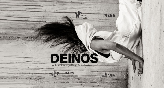 Bonjour.ba- DeinosIMG_8214