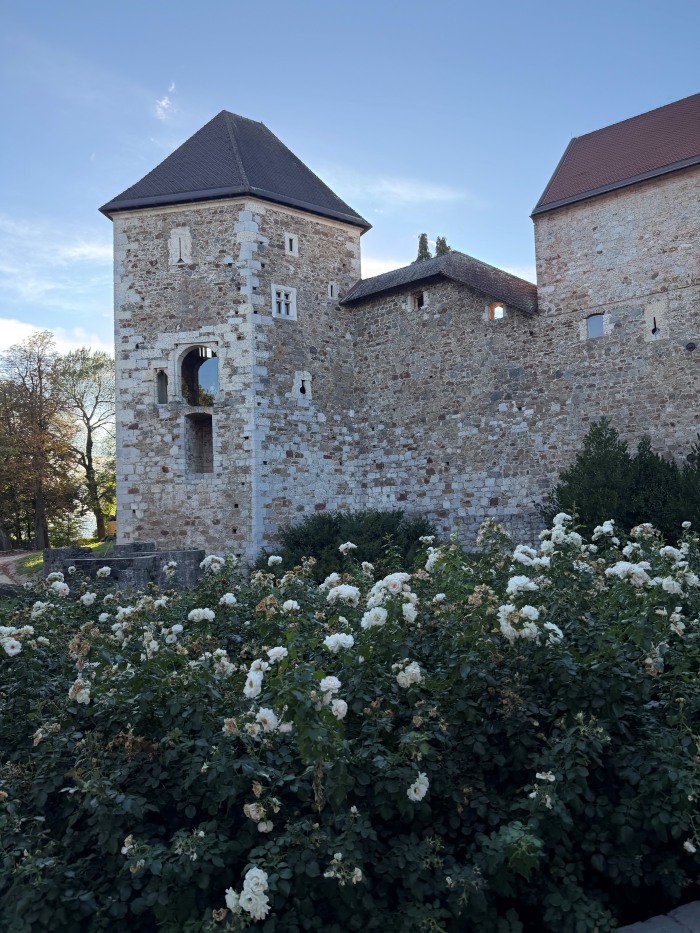 Bonjour.ba- Violeta LjubljanaIMG_6226