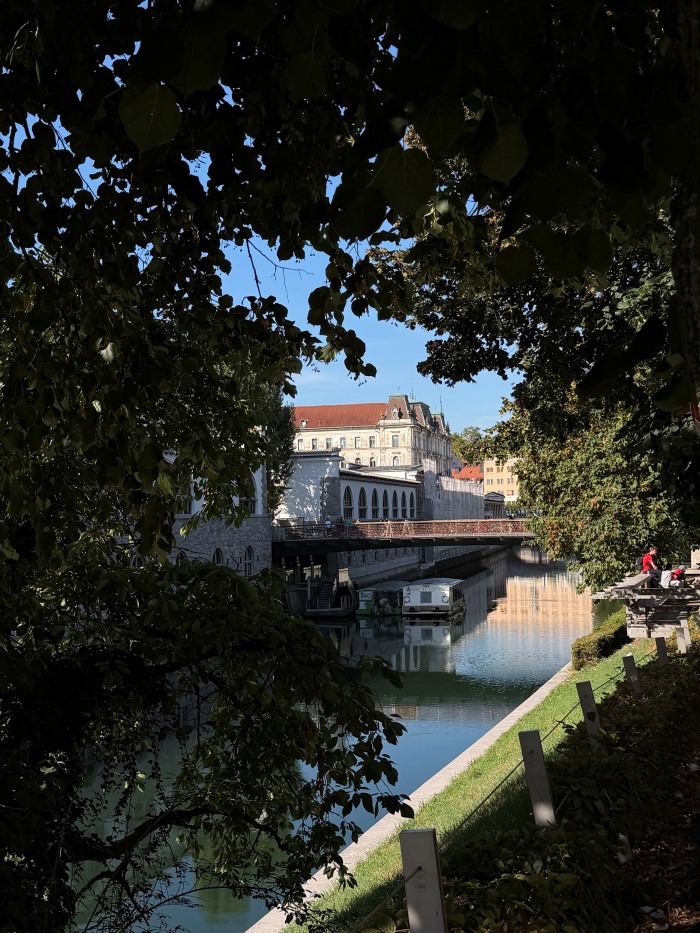 Bonjour.ba- Violeta LjubljanaIMG_6514
