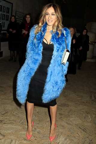 sjp1