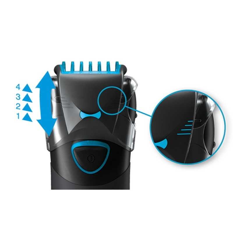 braun 02a