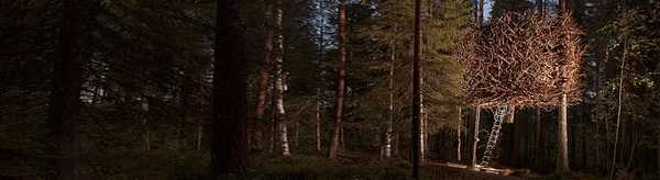 tree hotel 01