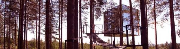 tree hotel 04