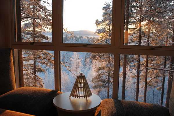 tree hotel 08