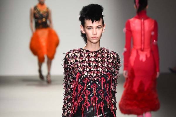 Amra Čerkezović i njena Sibling irokeza