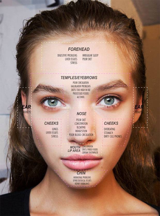 face mapping C 01 pin