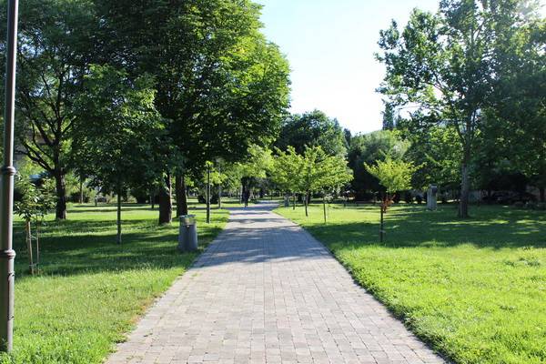 005 park