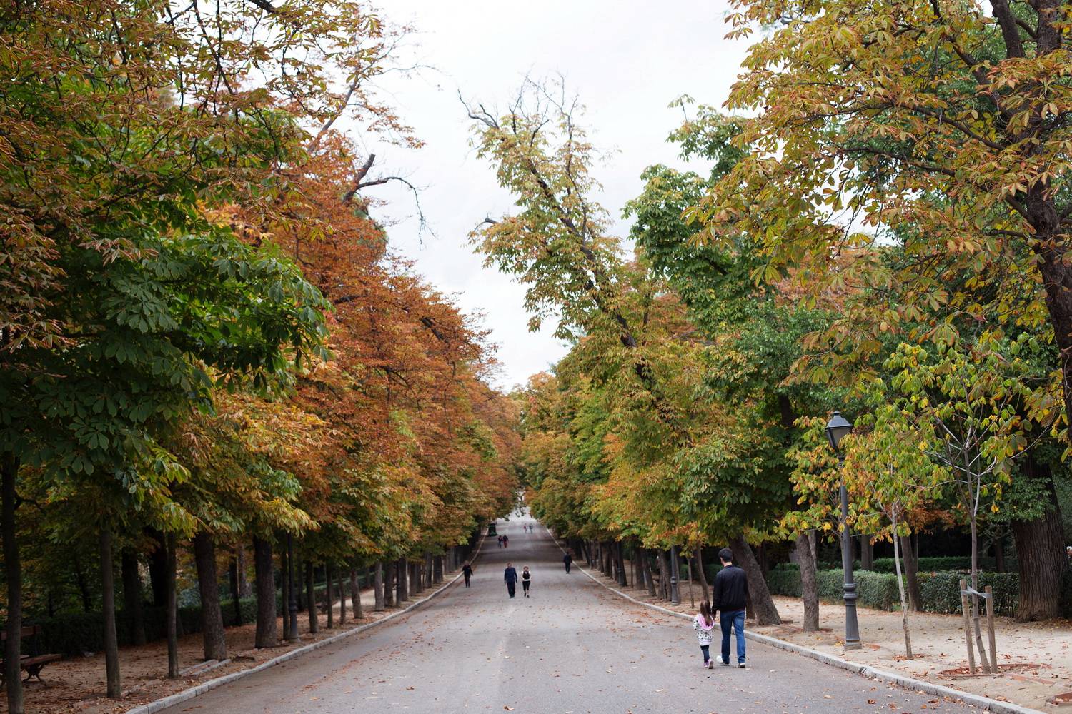 el retiro park 02