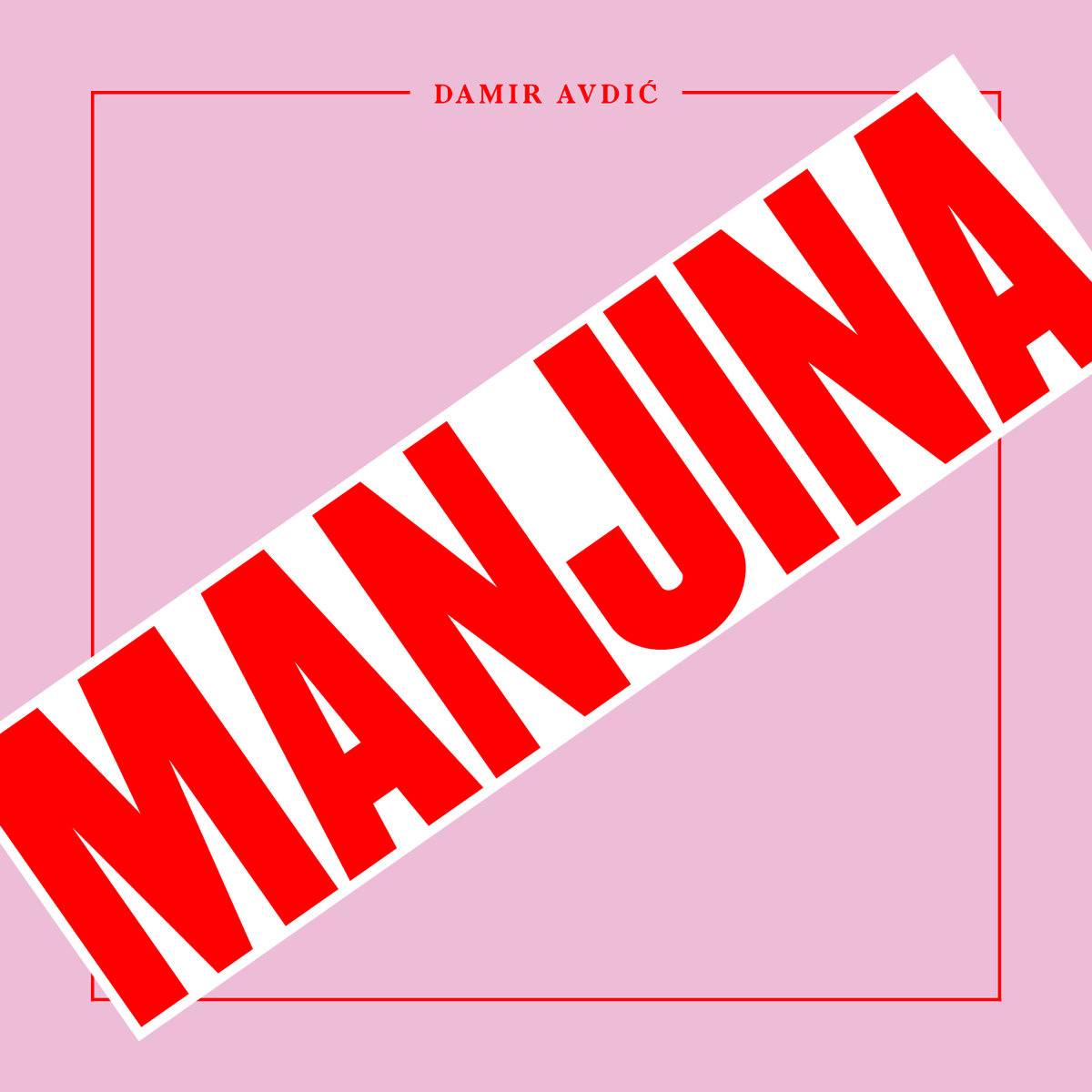 damir manjina