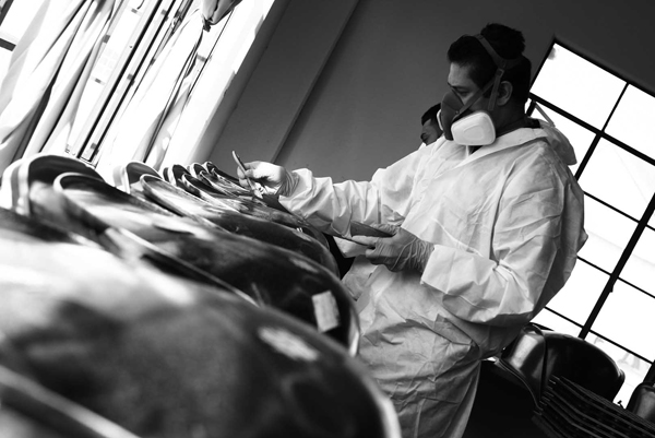 eames proces 1