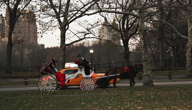 centralpark