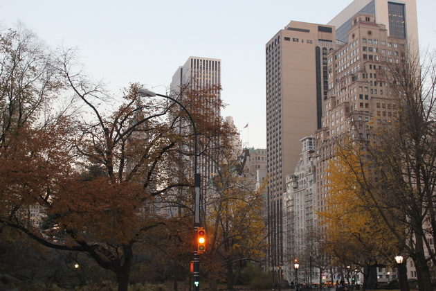 centralpark2