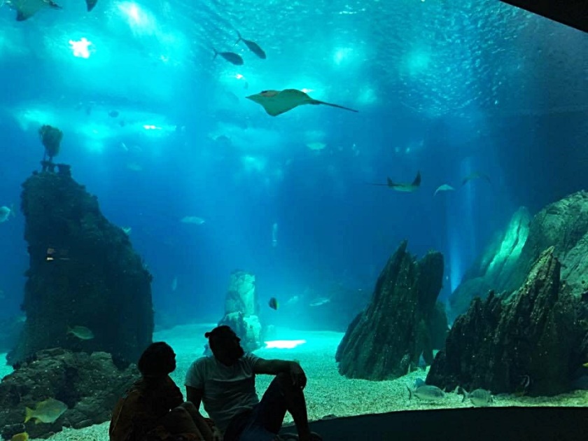 Oceanario