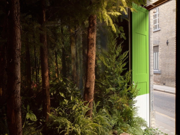 AirBnB Greenery-082