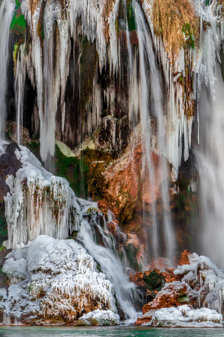 kravice prirode 1