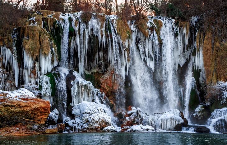 kravice prirode 2