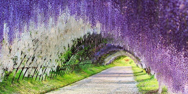 1489187552-1489081020-index-tunnel
