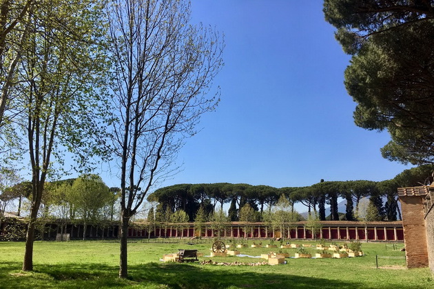 pompeji putopis 05