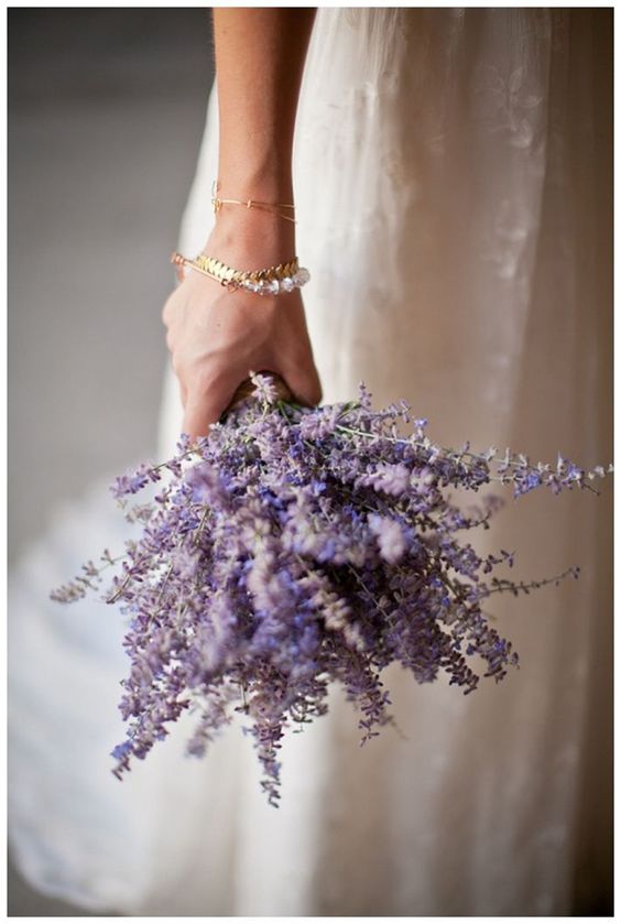 lavanda modamo01