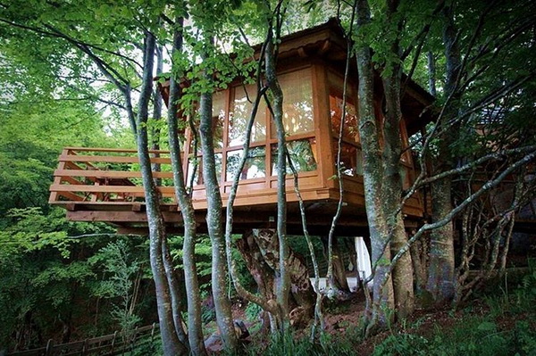 treehouse bih modamo1