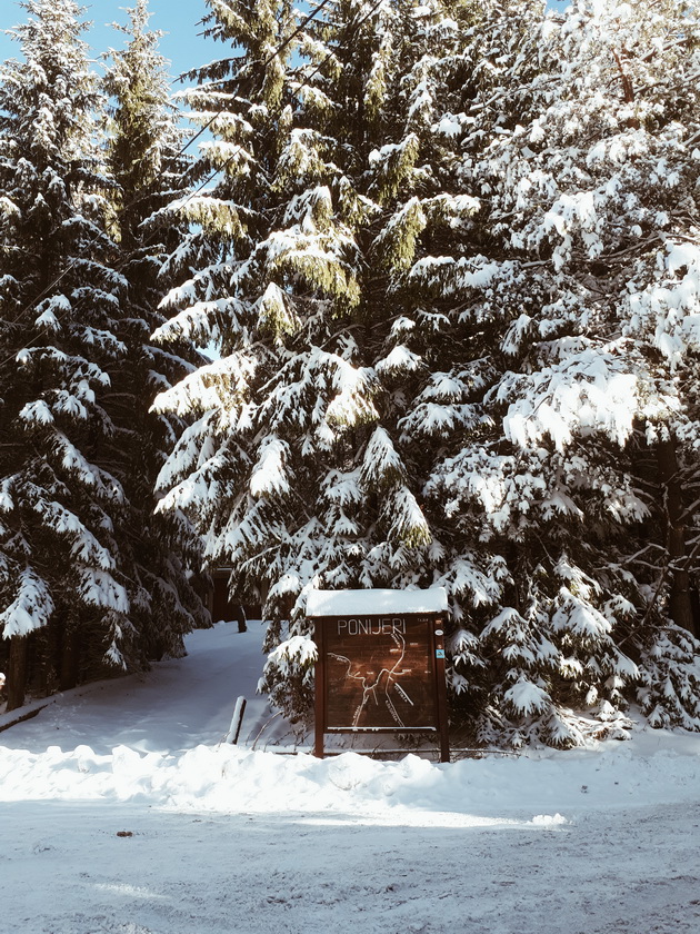 2017-12-07-01.55.08-1