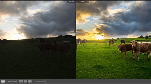 03 lightroom mobile before after