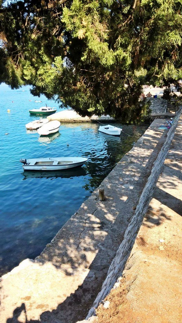 01 neum postari