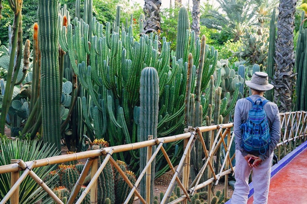 park majorelle (3)