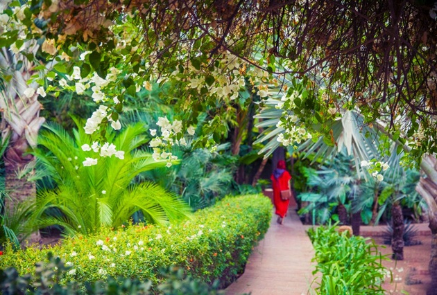 park majorelle (4)