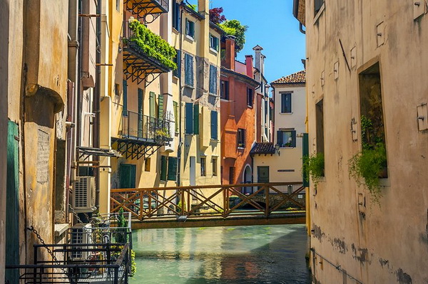 treviso