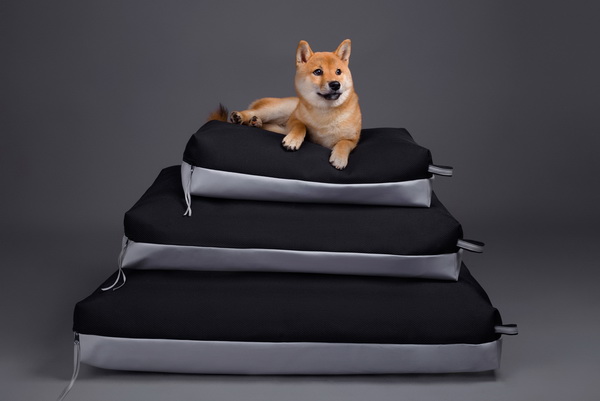 lava dog kolekcija 04