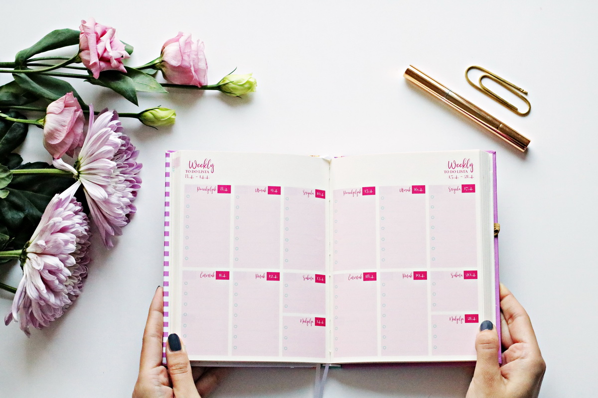 modamo chicovnik 2019 weekly