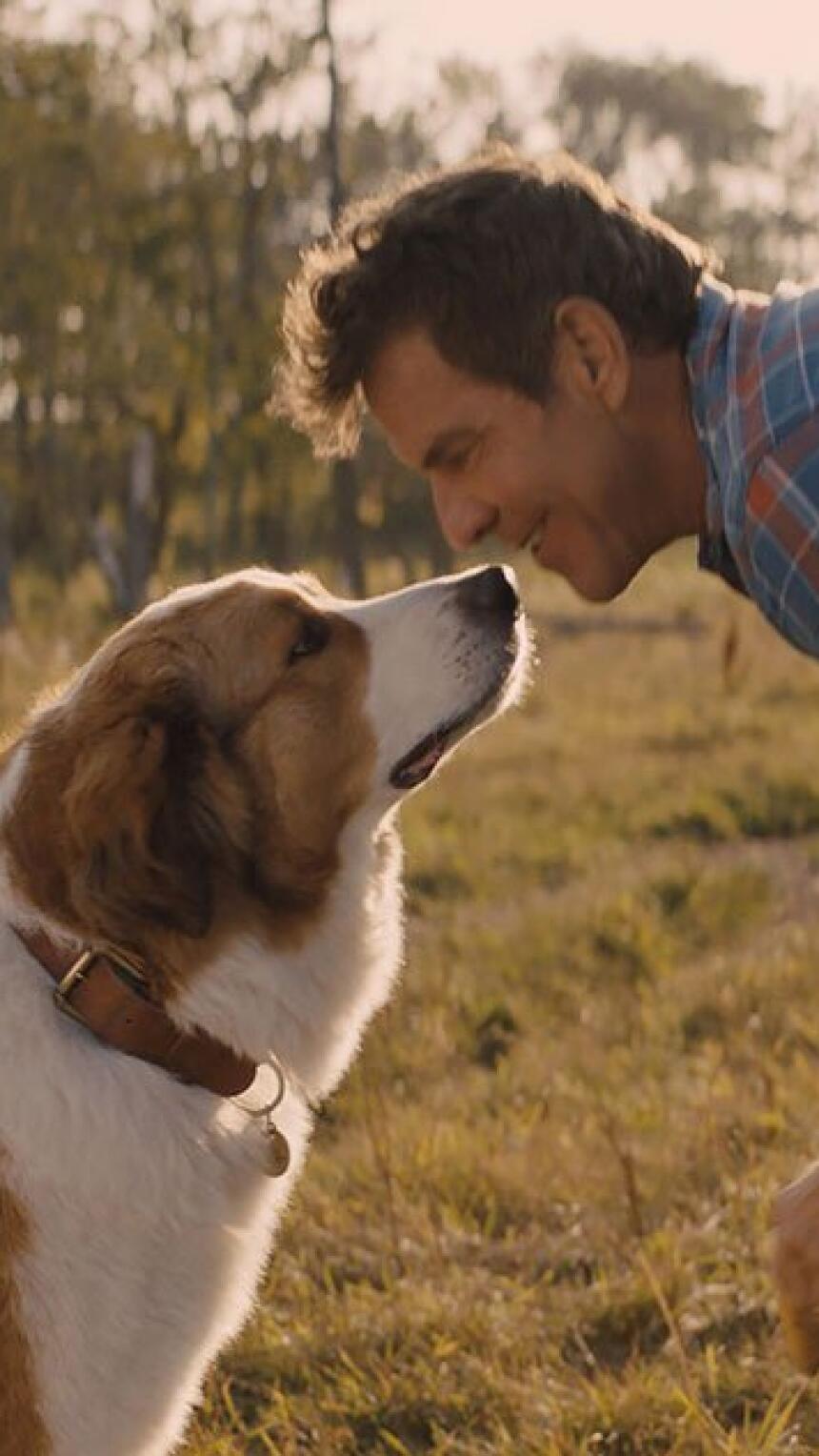 Zabavni filmovi koje želimo pogledati s najmlađima već ovaj vikend 