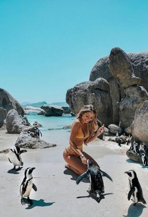 4 svjetske lokacije na kojima se možete kupati s pingvinima, flamingosima i kornjačama