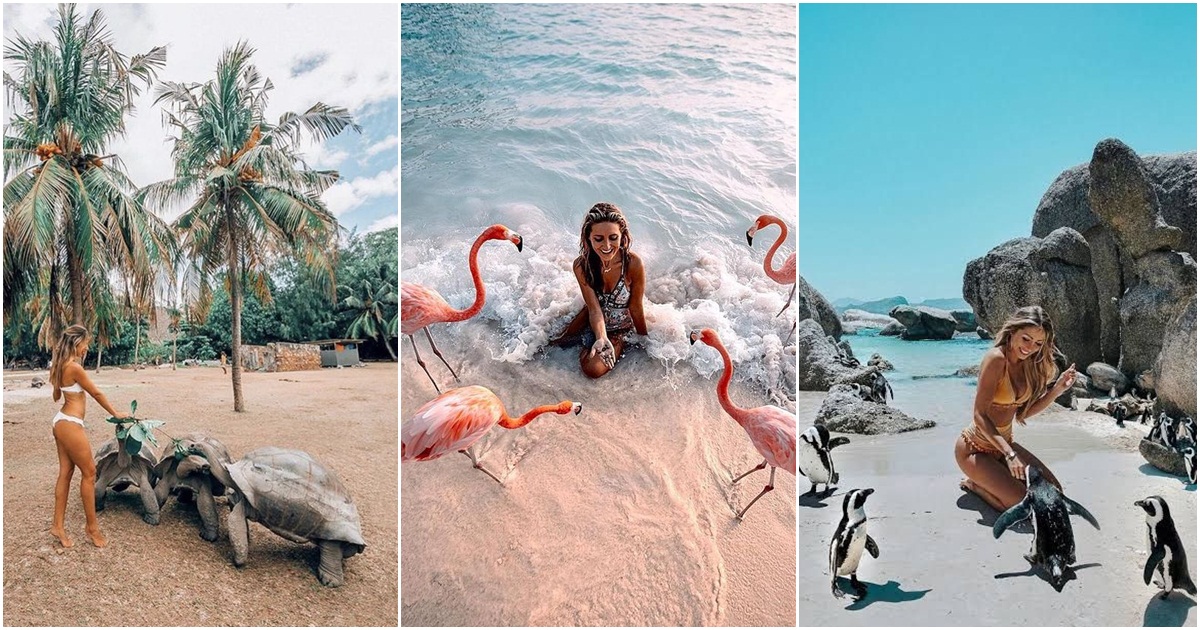4 svjetske lokacije na kojima se možete kupati s pingvinima, flamingosima i kornjačama