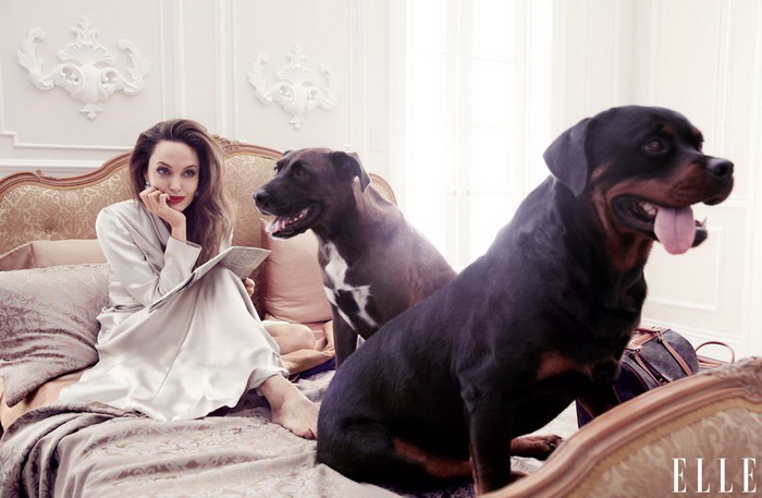 Angelina Jolie u novom izdanju Elle magazina govori o feminizmu, majčinstvu i humanitarnom radu